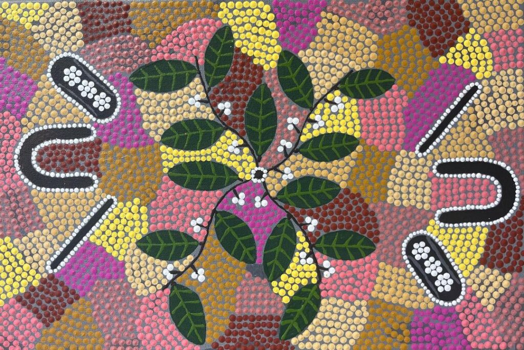 62-25glorinemartin30x46bushtucker