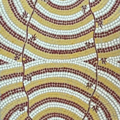 GOANNA STORY/ WARDAPI JUKURRPA