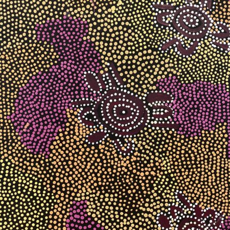 Inkwareny Anengkerr (honey ant Dreaming)